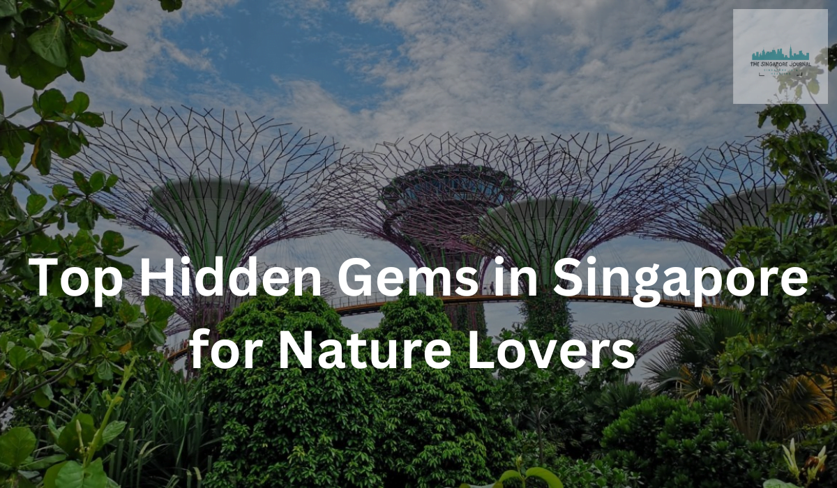 Top Hidden Gems in Singapore for Nature Lovers