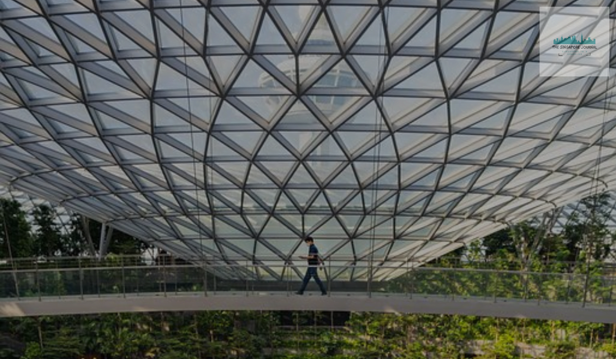 Best Things To Do In Singapore