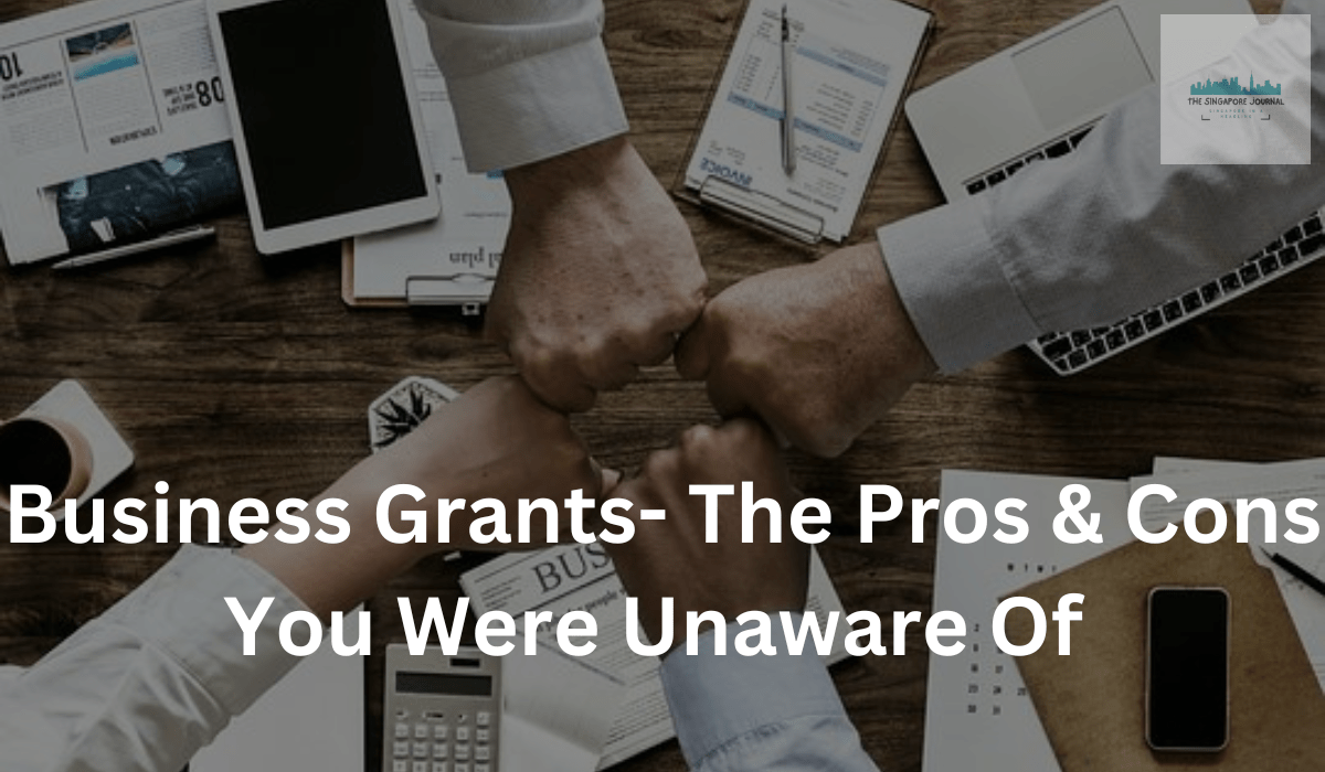 Business Grants- The Pros & Cons You Were Unaware Of