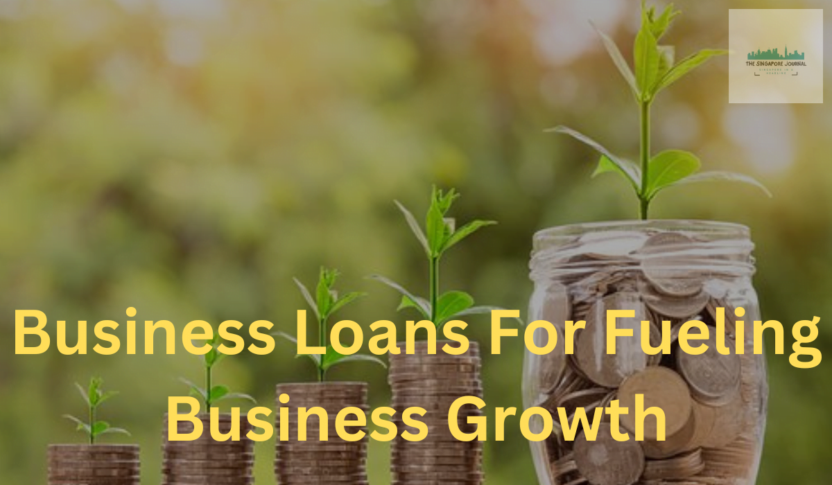 Business Loans For Fueling Business Growth