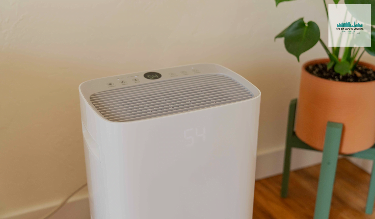 Benefits of Having A Dehumidifier At Home