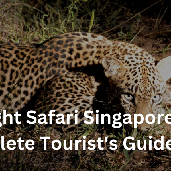 Night Safari Singapore- A Complete Tourist’s Guide 2023