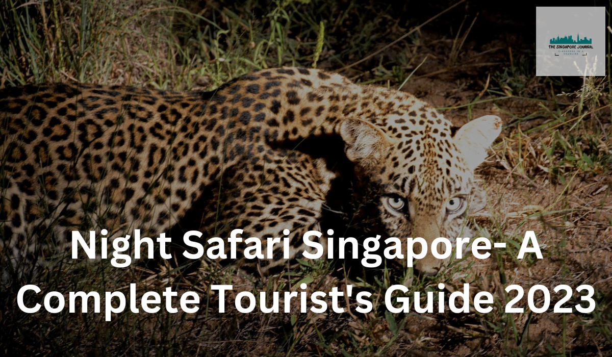 Night Safari Singapore- A Complete Tourist’s Guide 2023