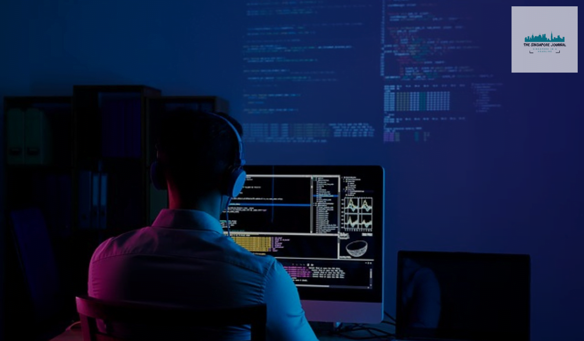 What does a web developer do- Ultimate Guide