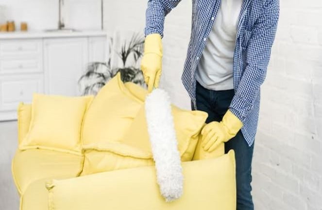 Revive Your Home: Sofa Upholstery Cleaner Benefits