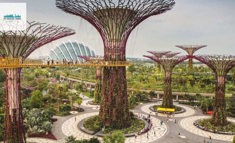Best Eco-Friendly Business in Singapore