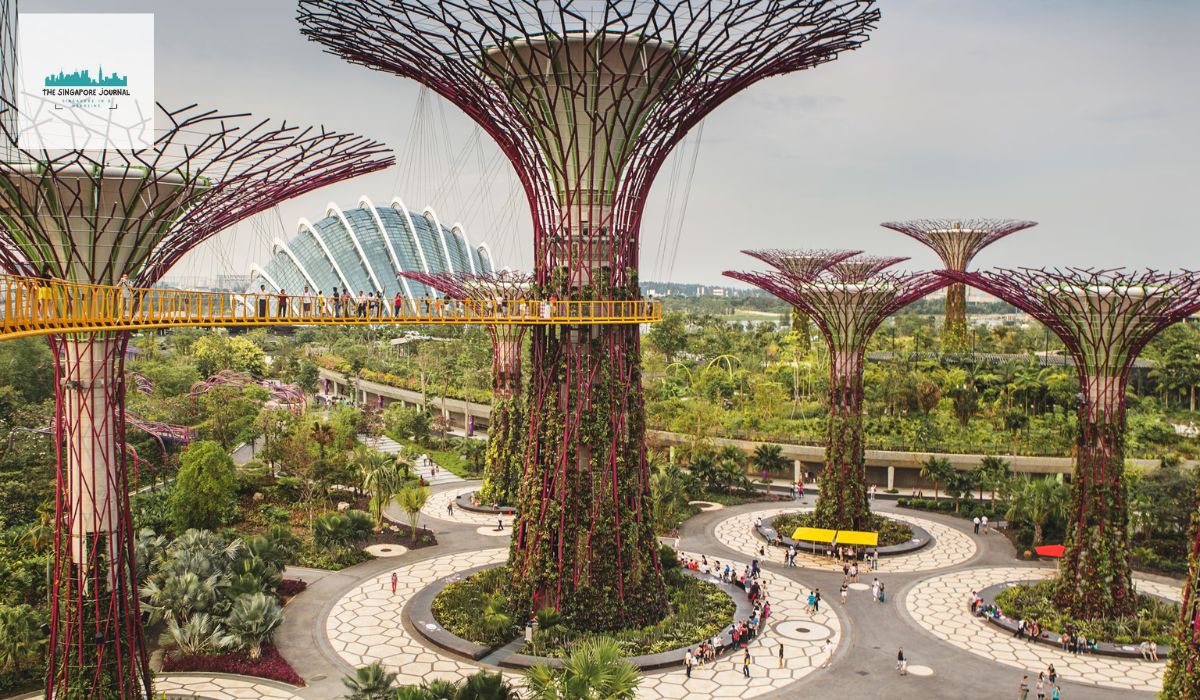 Eco-Friendly Business