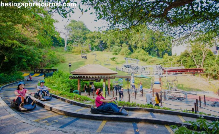 Family-Friendly Activities to perform in singapore