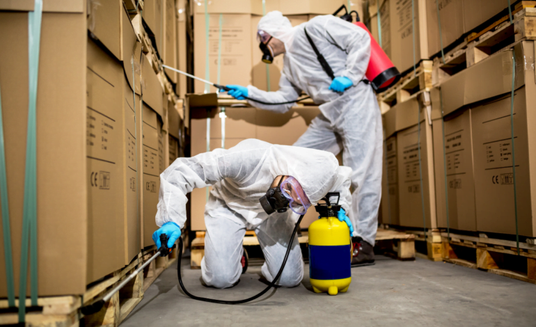 Top 10 Pest Control Services Globally